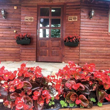 Etno Restoran Ranc Motel Radibus Dış mekan fotoğraf
